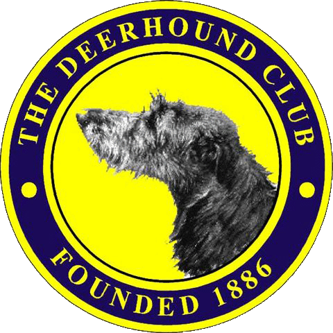 Deerhound puppies for sale uk kennel club best sale